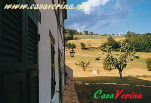 fiorenza2